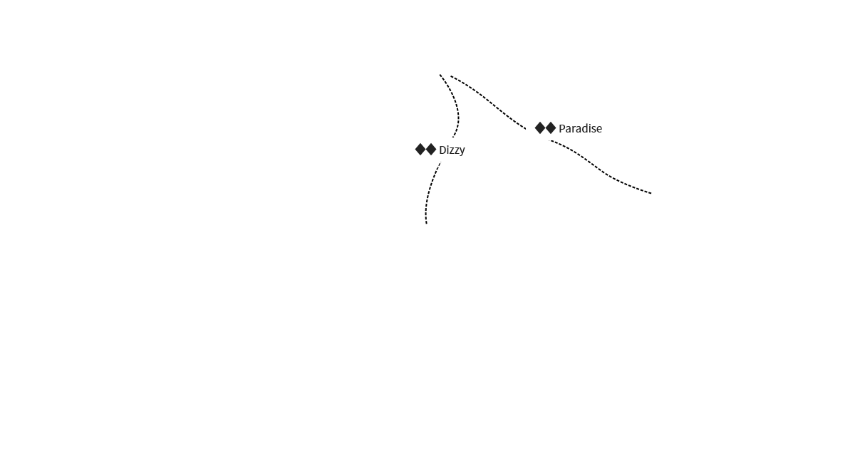Expert Course